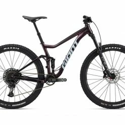 Giant Stance 29 1 2022