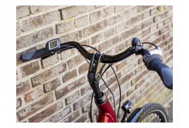 Trek VERVE+ 1 Mowstep 2021 Shimano Altus 8V 400wh Rage Red â Image 11