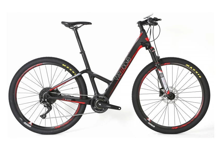 VTC ÉLECTRIQUE WEMOOVE SÉRIE 900